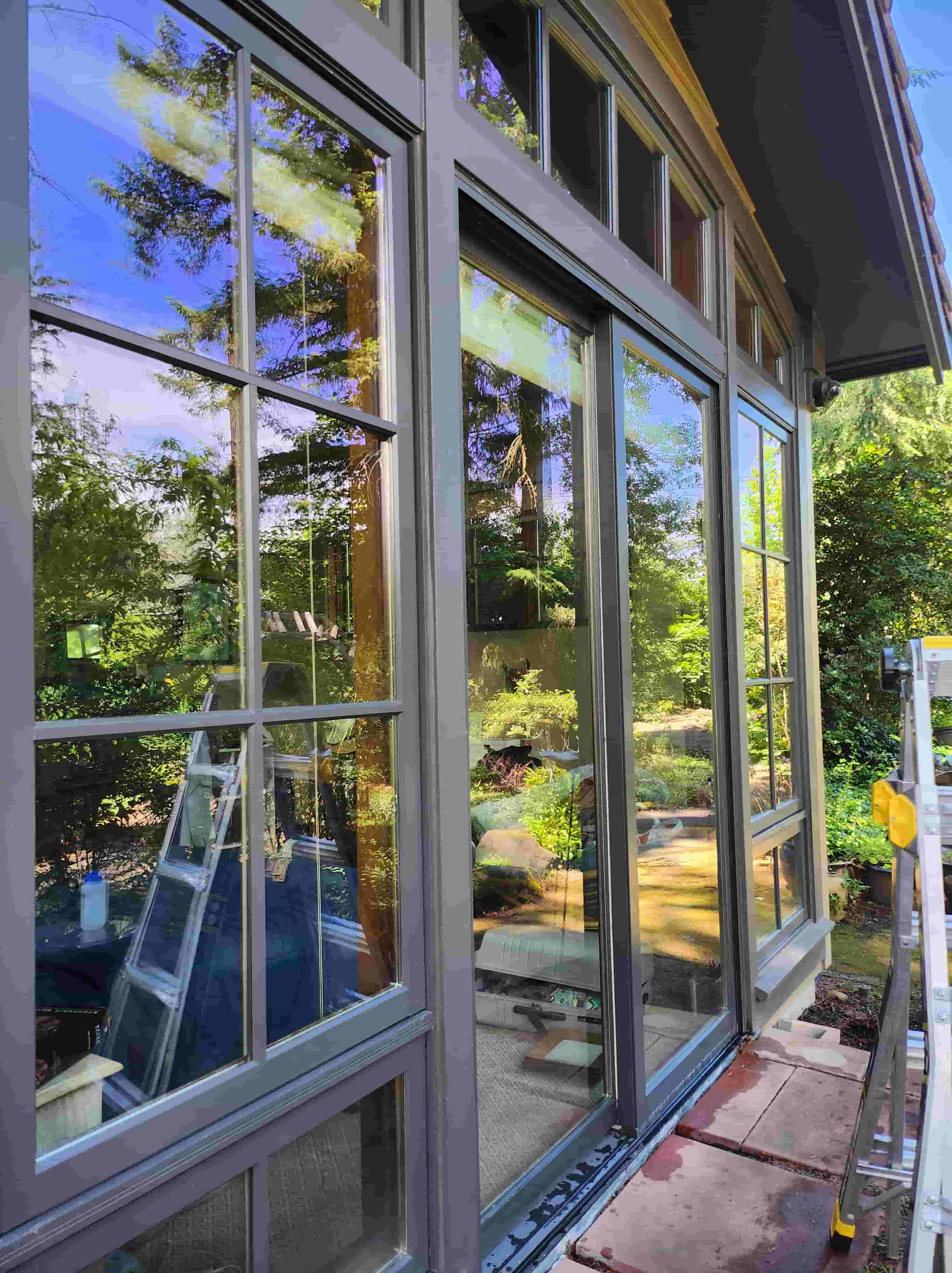 Clean HomeHavenNW customer windows reflecting trees