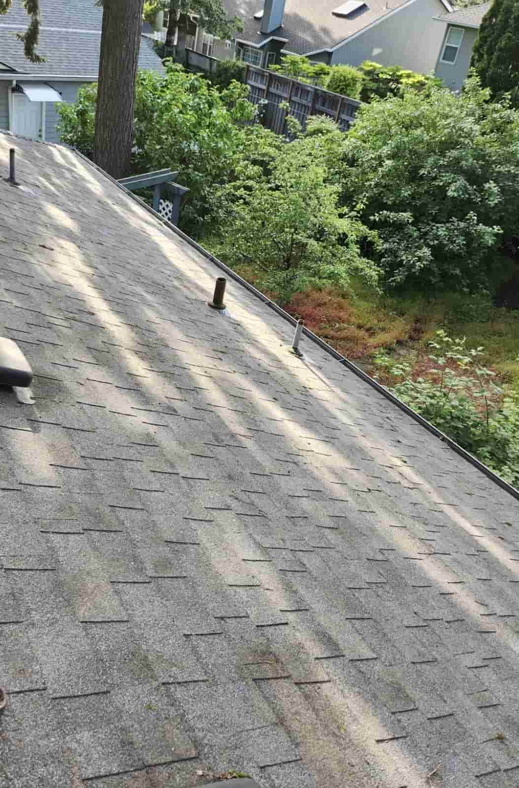 Roof after debris cleaning