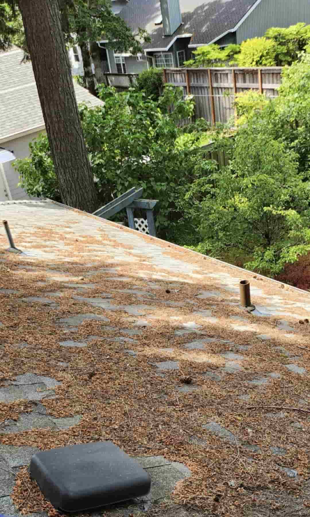 Roof before debris removal